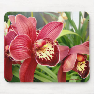 Tapis De Souris Hors concours d'orchidée