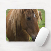Tapis De Souris Horse Hello (Avec souris)