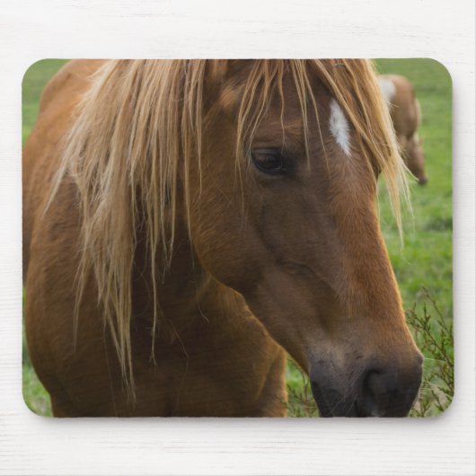 Tapis De Souris Horse Hello (Devant)