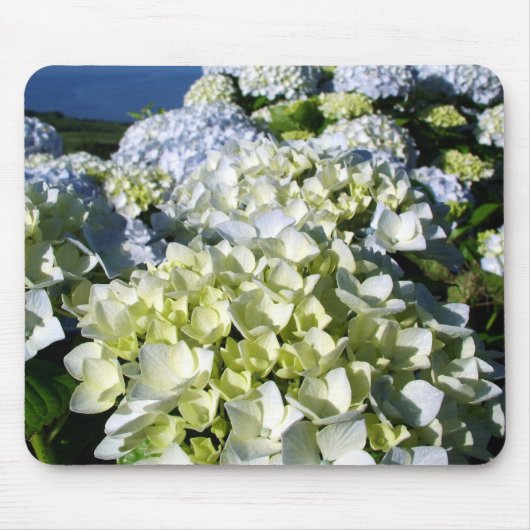 Tapis De Souris Hortensias (Devant)