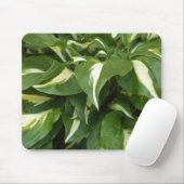 Tapis De Souris Hosta Feuilles (Avec souris)