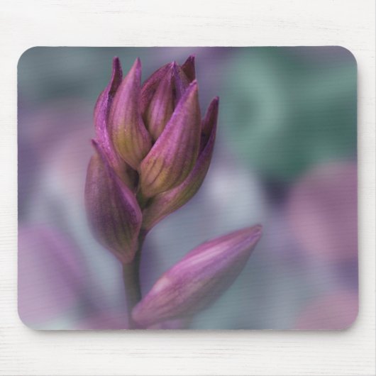 Tapis De Souris Hosta Flower Buple Violet Et Vert (Devant)