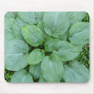 Tapis De Souris Hosta Mousepad
