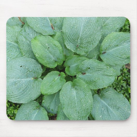 Tapis De Souris Hosta Mousepad (Devant)