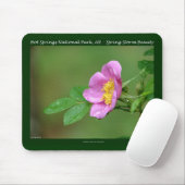 Tapis De Souris Hot Springs National Park, AR Wild Rose Don (Avec souris)
