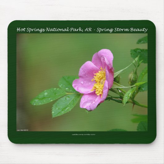 Tapis De Souris Hot Springs National Park, AR Wild Rose Don (Devant)