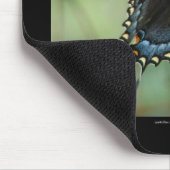 Tapis De Souris Hot Springs National Park Swallowtail Butterfly (Coin)