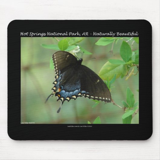 Tapis De Souris Hot Springs National Park Swallowtail Butterfly (Devant)