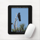 Tapis De Souris Hots Springs National Park, AR - American Crow (Avec souris)