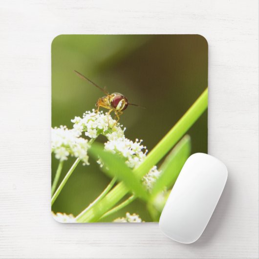 Tapis De Souris Hoverfly en céleri (Avec souris)