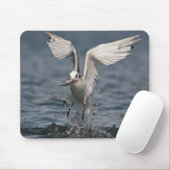 Tapis De Souris Hovering Kittiwake (Avec souris)