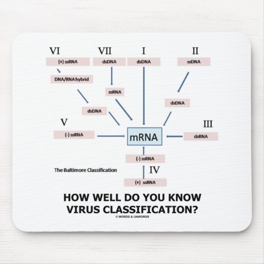 Tapis De Souris How Well Do You Know Virus Classification ? (Devant)