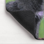 Tapis De Souris Howling Wolf Cub (Coin)
