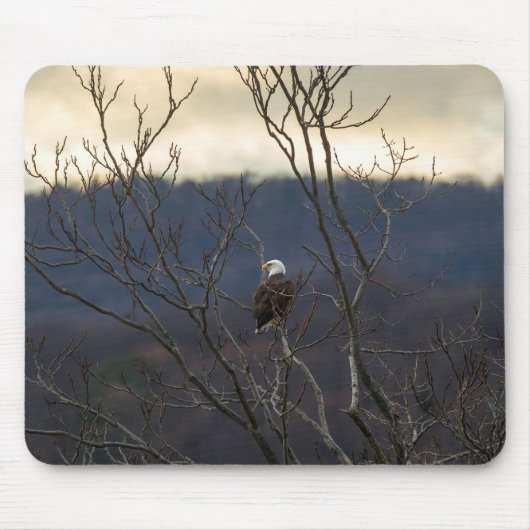 Tapis De Souris Hudson Valley Eagle (Devant)