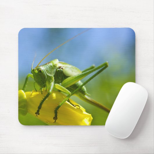 TAPIS DE SOURIS HUGO (Avec souris)