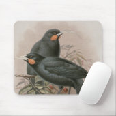 Tapis De Souris Huia (Avec souris)