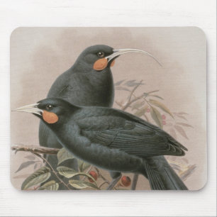 Tapis De Souris Huia