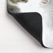 Tapis De Souris Huile d'ours (Coin)