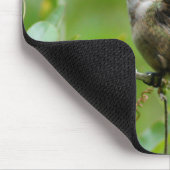 Tapis De Souris Humm for the Mouse ! (Coin)