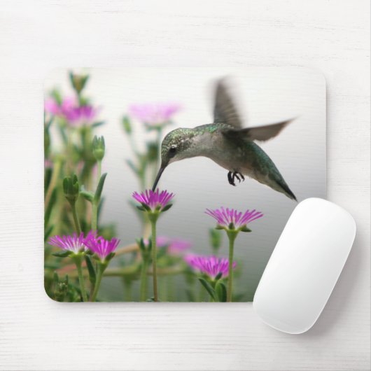 Tapis De Souris Hummingbird feeding (Avec souris)