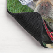 Tapis De Souris Humour de Bulldog français (Coin)