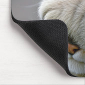 Tapis De Souris Humour de chat tigré (Coin)