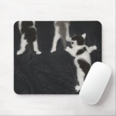 Tapis De Souris Husky Puppy (Avec souris)