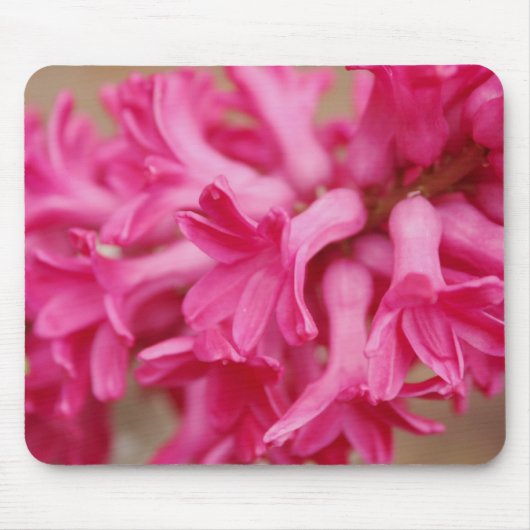 Tapis De Souris Hyacinth rose (Devant)