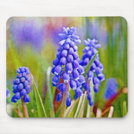 Tapis De Souris Hyacinthes de raisin (Devant)