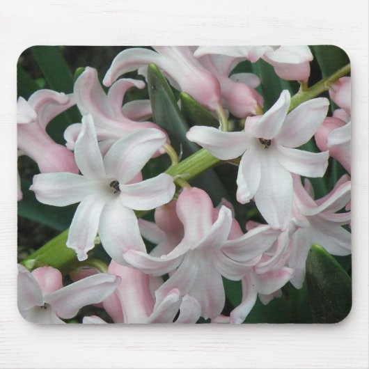 Tapis De Souris Hyacinthes Mousepad (Devant)