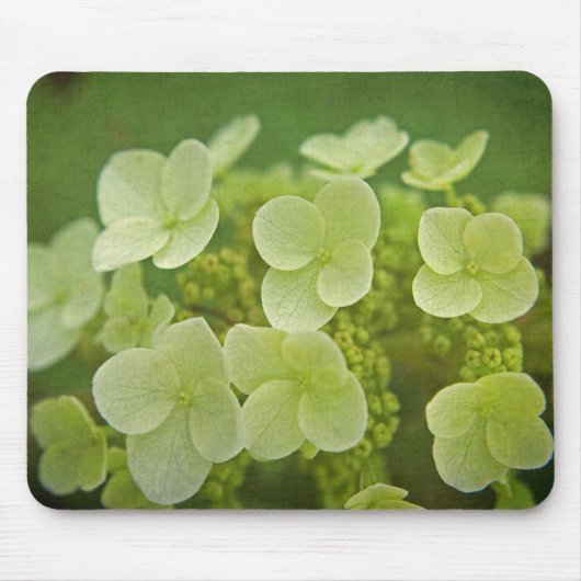 Tapis De Souris Hydrangeas (Devant)