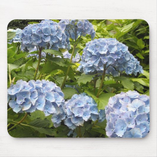 Tapis De Souris Hydrangeas aux teintes bleues (Devant)
