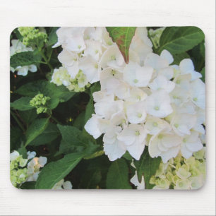 Tapis De Souris Hydrangeas Blancs