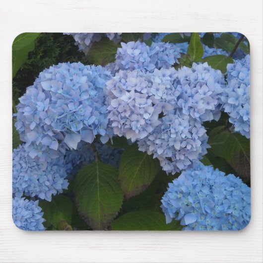 Tapis De Souris Hydrangeas Élégantes (Devant)