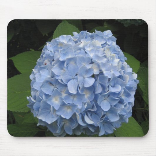Tapis De Souris Hydrangée bleue (Devant)