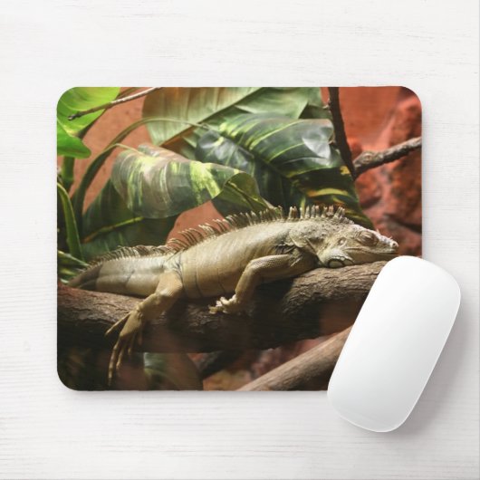 TAPIS DE SOURIS I2 (Avec souris)