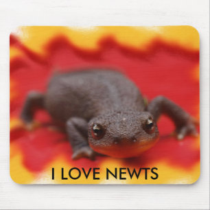 Tapis De Souris I Love Newts