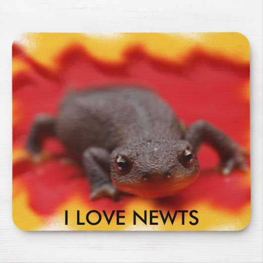 Tapis De Souris I Love Newts (Devant)
