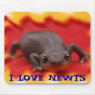 Tapis De Souris I Love Newts