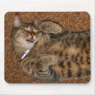 Tapis De Souris I', m un chat si mignon