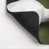 Tapis De Souris Ibis blanc (Coin)