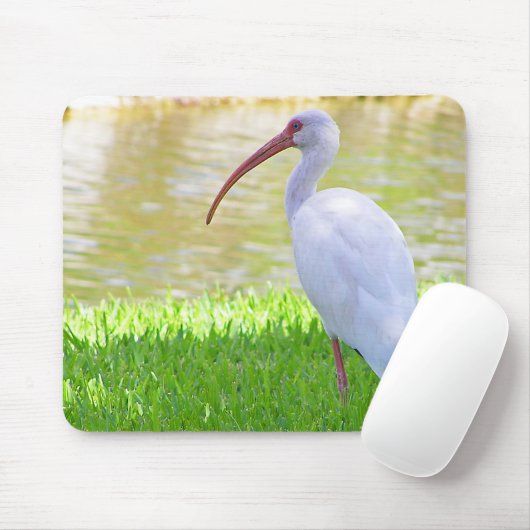Tapis De Souris Ibis Sur Une Jambe Photo (Avec souris)
