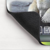 Tapis De Souris Icebaer (Coin)