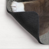 Tapis De Souris IcelandicSheepdog_20171202_by_JAMFoto (Coin)