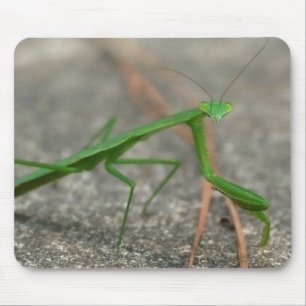 Tapis De Souris Ici vous regarde Mousepad (latéral)