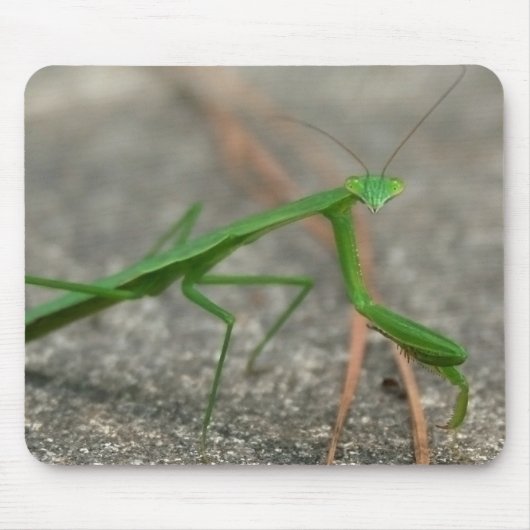 Tapis De Souris Ici vous regarde Mousepad (latéral) (Devant)