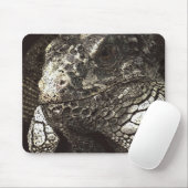 Tapis De Souris Iguana (Avec souris)