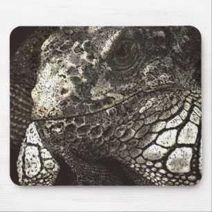 Tapis De Souris Iguana