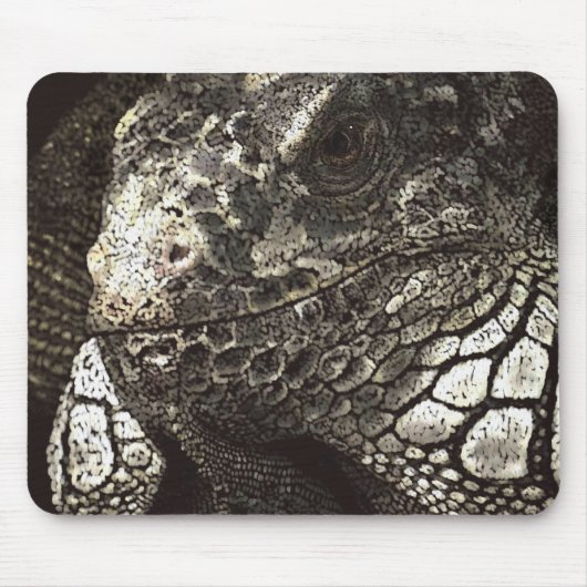 Tapis De Souris Iguana (Devant)