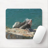 Tapis De Souris Iguane à St-Thomas (Avec souris)